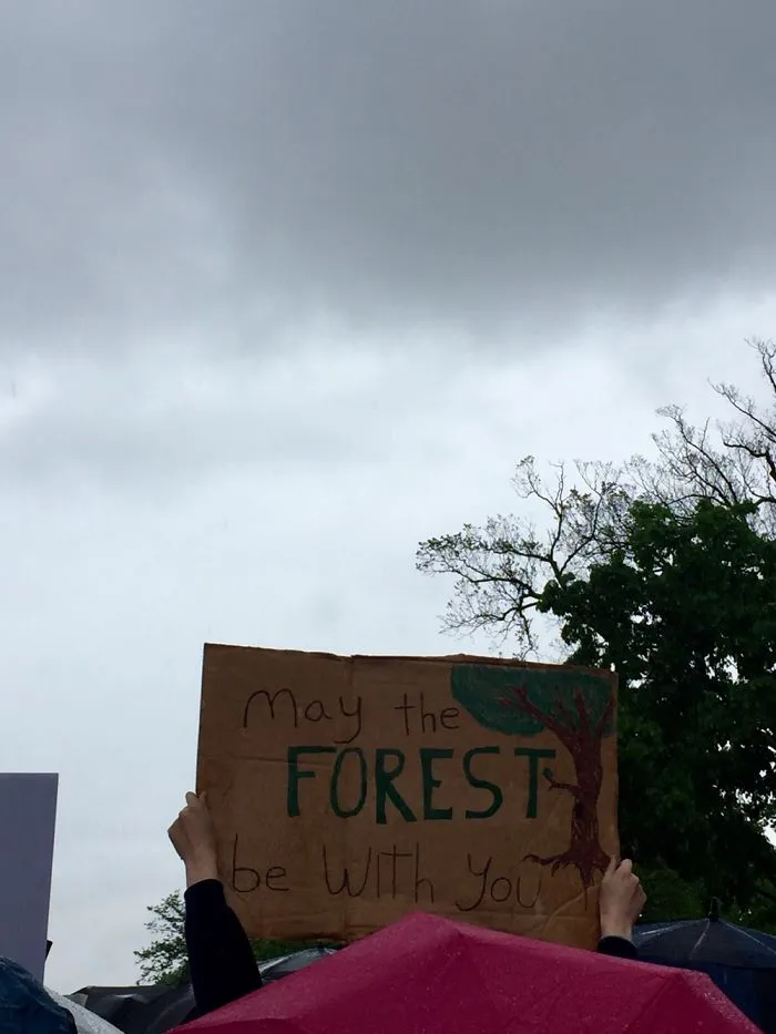 131 Of The Best Signs From The March For Science Shows What Happens When You Piss Of The Scientists
