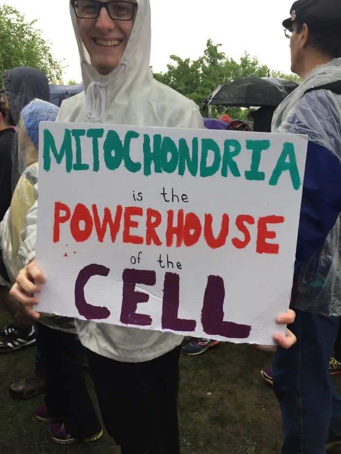 131 Of The Best Signs From The March For Science Shows What Happens When You Piss Of The Scientists