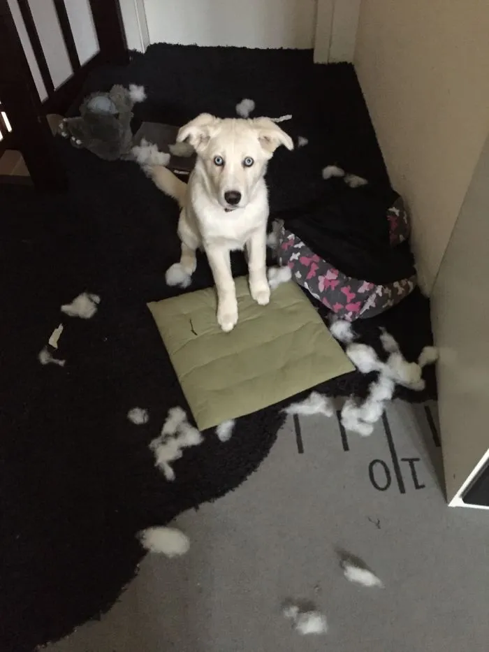 She Got Cought...