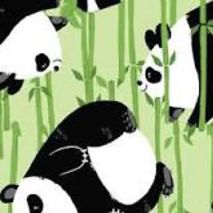 Nelly Panda
