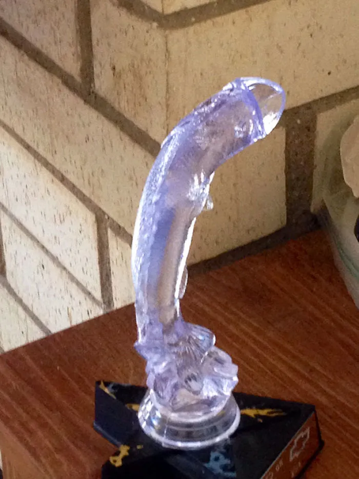 Mi hijo ha ganado este trofeo de pesca