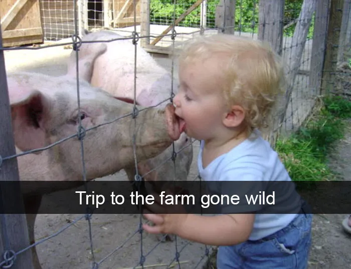 Things Gone Wild
