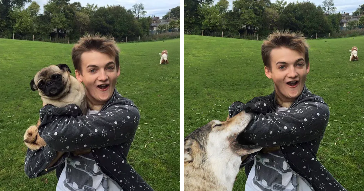 El rey Joffrey abraza a un pug y desata una brutal batalla de Photoshop