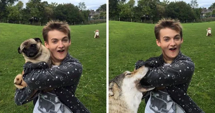 King Joffrey Hugs A Pug, And Sparks A Brutal Photoshop Battle