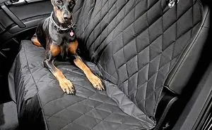 Best Dog Seat Covers
