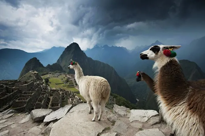 10+ Iconic Adventures Worth The Effort