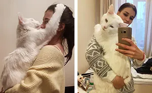 Kitty Grows Up Hugging His Human Every Day, Won't Stop Even After Becoming A GIANT