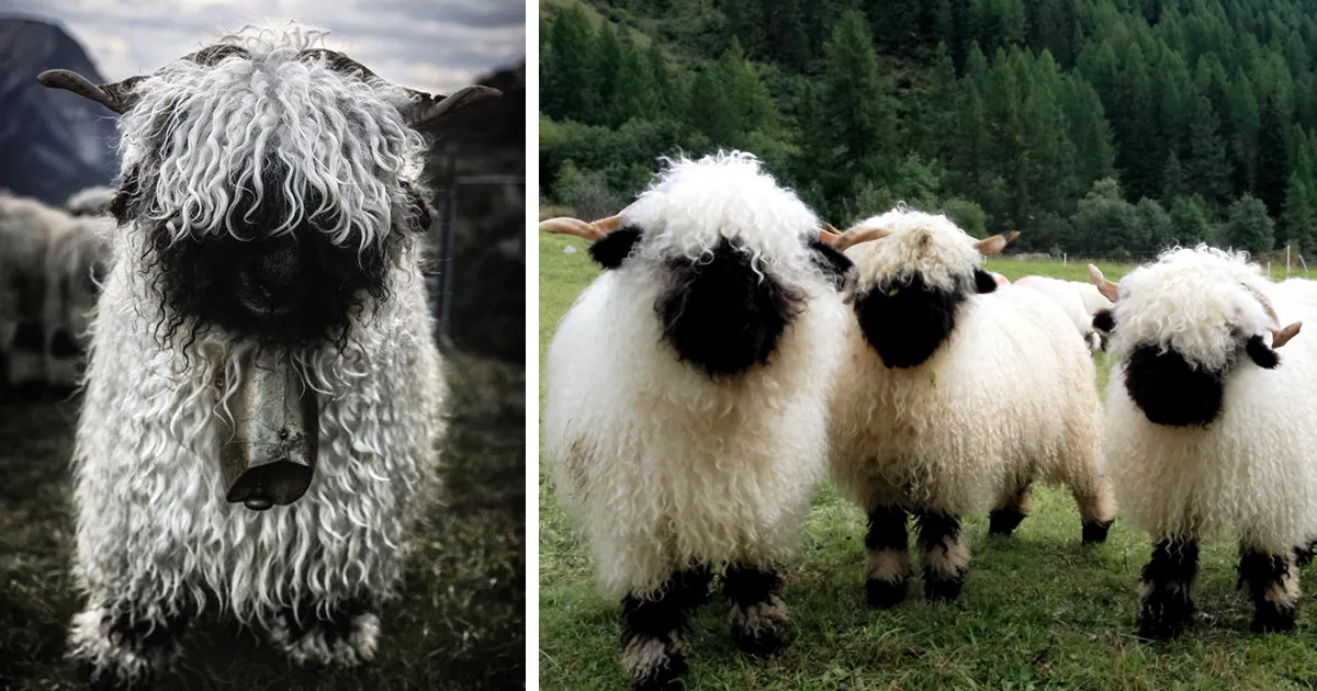 27 Of The Most Metal Animals Ever