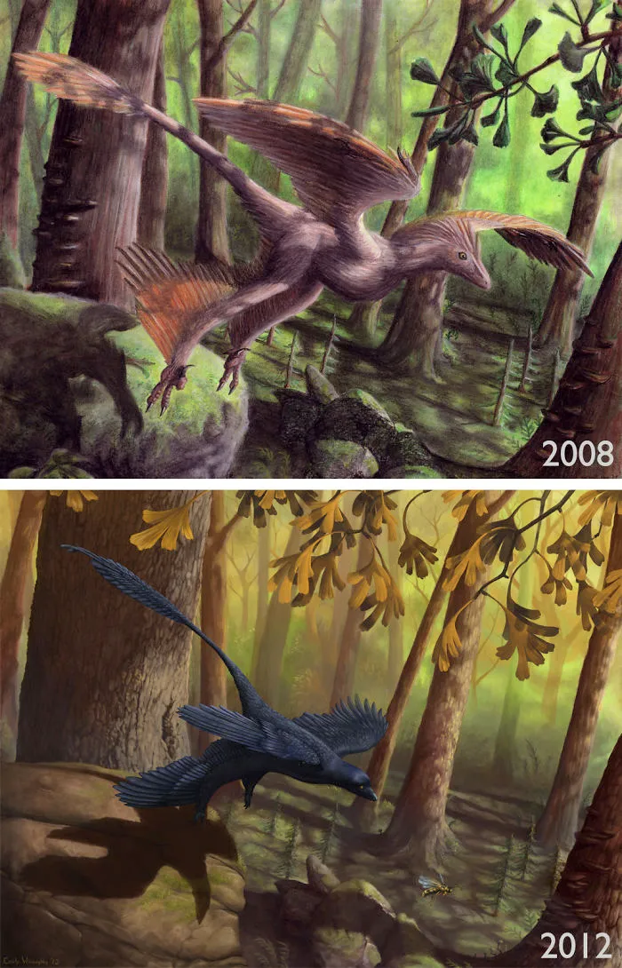 Feathered Dinosaur 'microraptor Gui' By Emily Willoughby