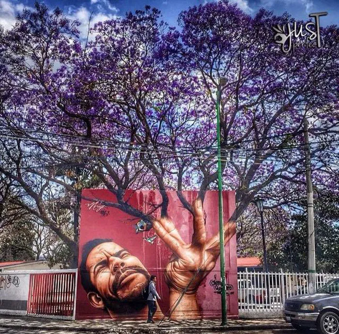 50 Amazing Street Art Installations That Cleverly Interact With Nature