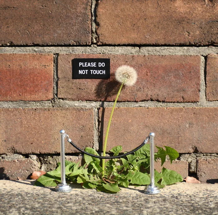 50 Amazing Street Art Installations That Cleverly Interact With Nature