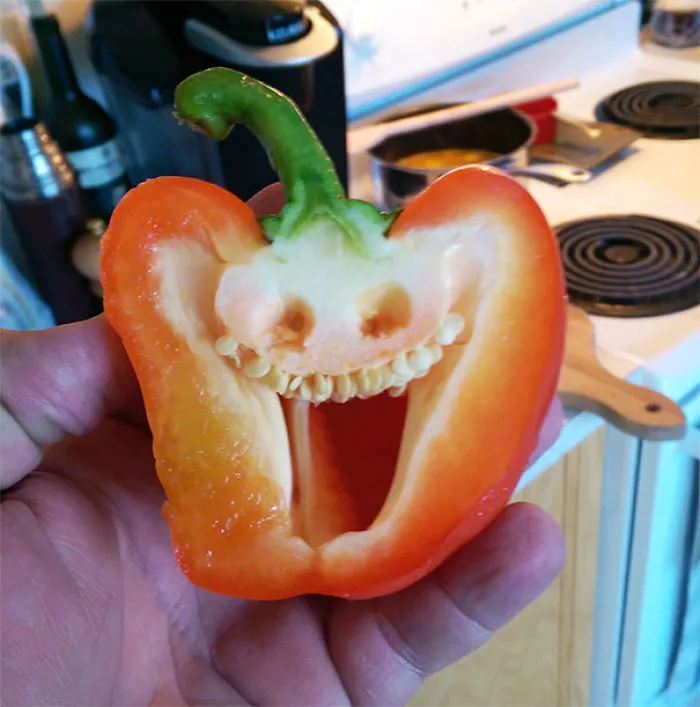 Parece contento