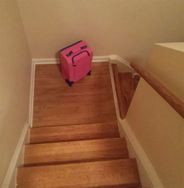 My Daughter's Suitcase Looks Really Upset That It Was Left On The Stairs