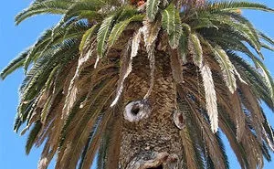 30 Funny Examples Of Pareidolia In Everyday Objects