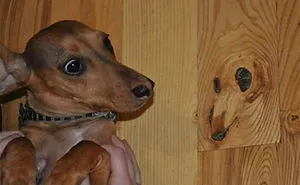 30 Funny Examples Of Pareidolia In Everyday Objects