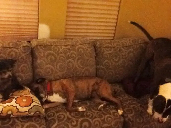 Where Can I Sit?