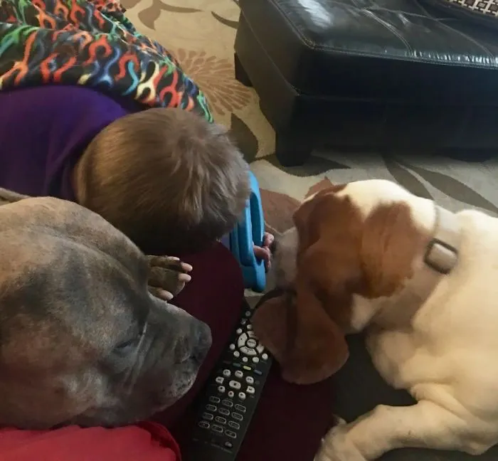 The View From My Lap