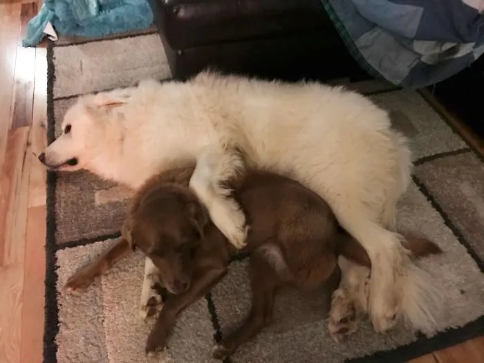 We Shall Snuggle, Yes We Shall!
