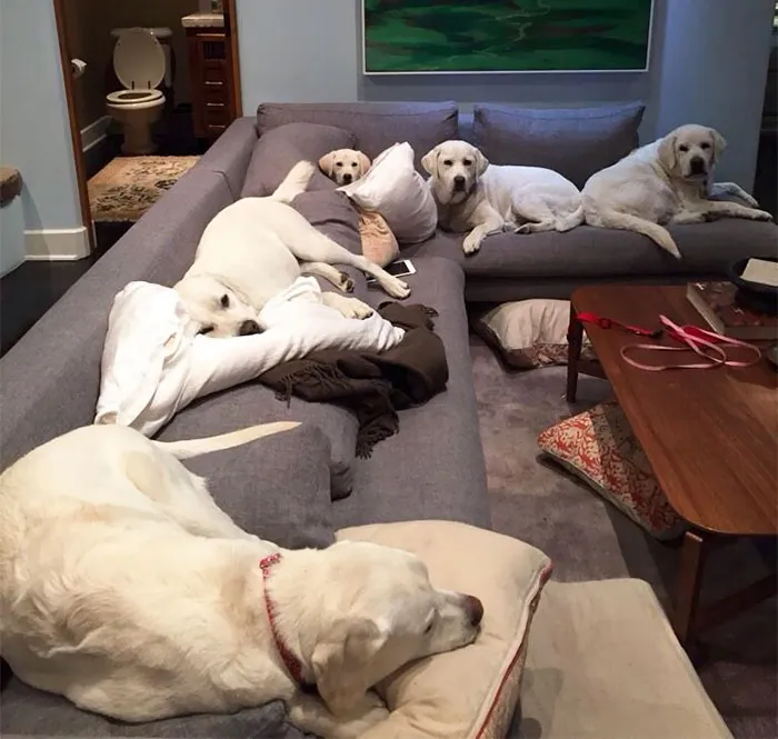 Looks Like I'll Sit On The Floor Then