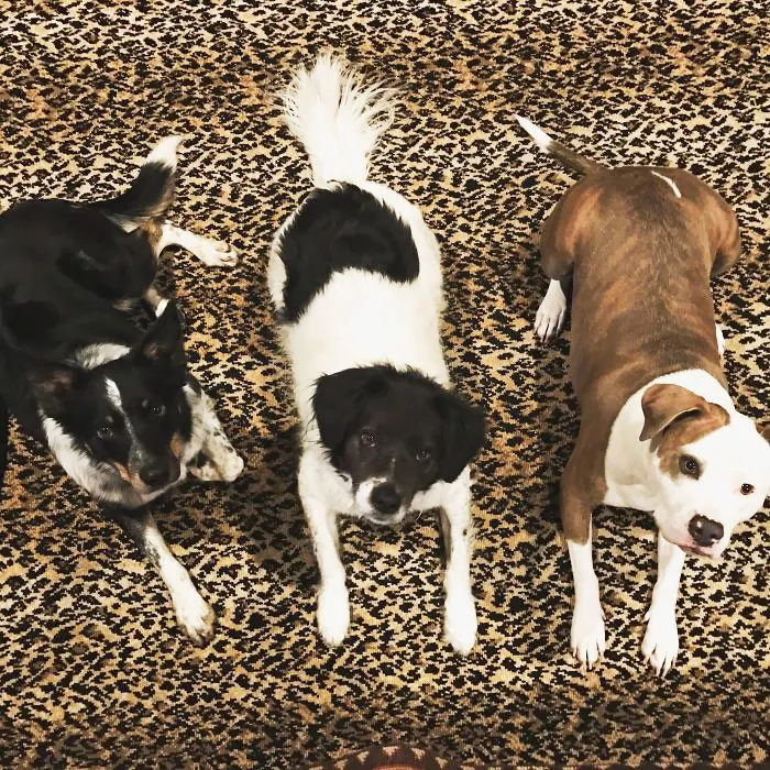 Tres Amigos!