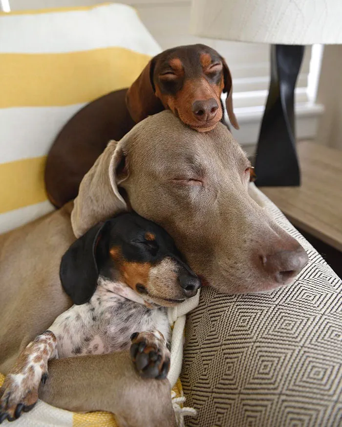 Happy Three Friends