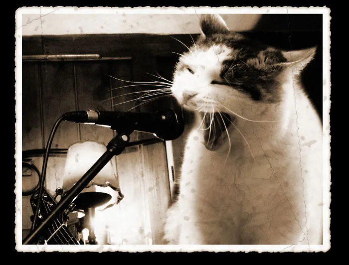 Back In The Days Of Rock'n'roll