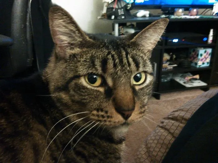 I Make Sure There Are No Witness. You Saw Nothing, Move Along Human.