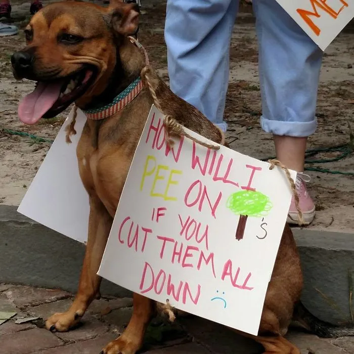 131 Of The Best Signs From The March For Science Shows What Happens When You Piss Of The Scientists