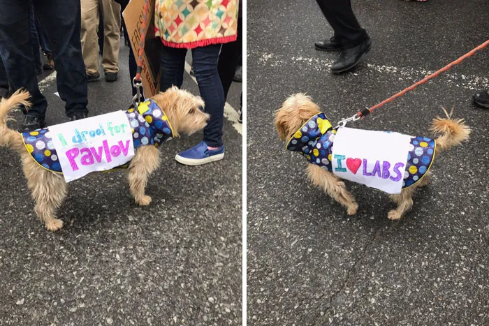 131 Of The Best Signs From The March For Science Shows What Happens When You Piss Of The Scientists