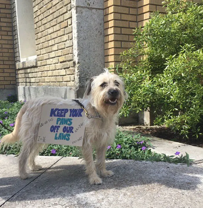 131 Of The Best Signs From The March For Science Shows What Happens When You Piss Of The Scientists