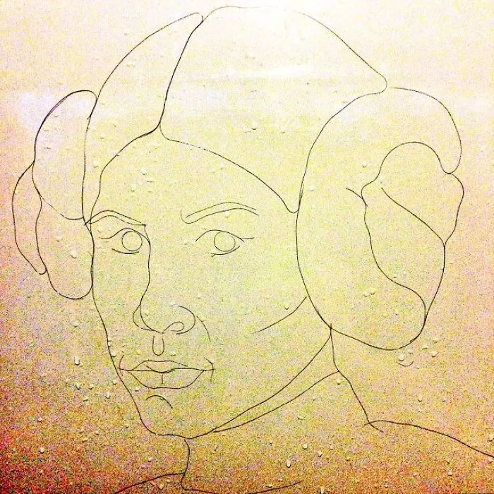 This Girl Accidentaly Created A "Drawing" Using Her Shower Hair, And Now She Can't Stop