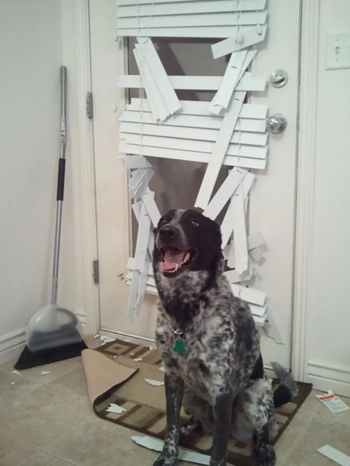 Came Home To This