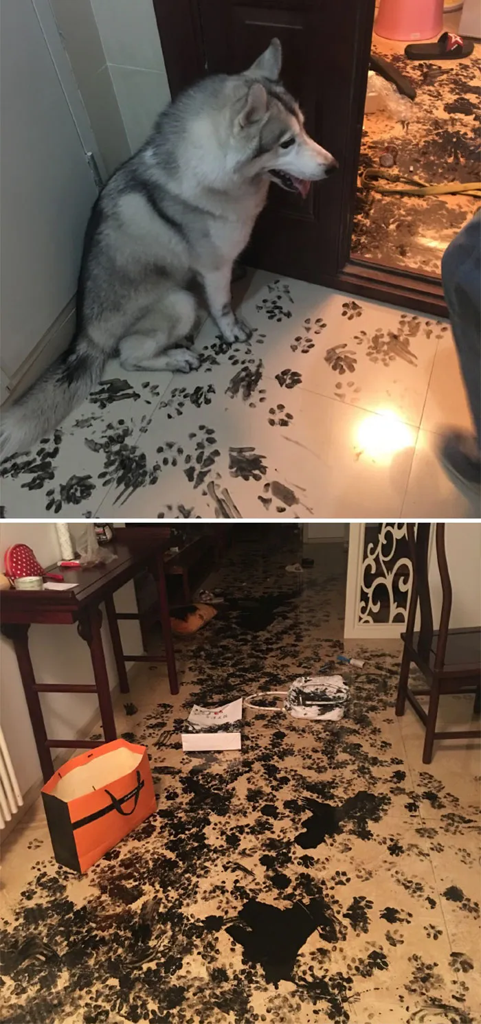 Went To Movie For 3 Hours Come Back To This