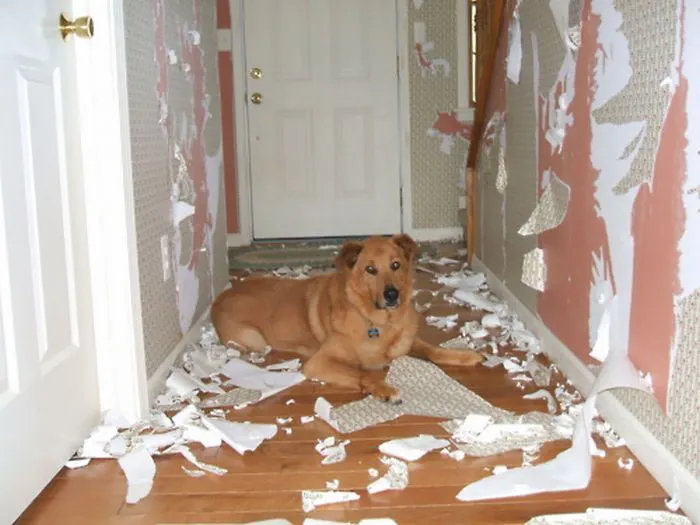 Welcome Home, How Was Your Day?