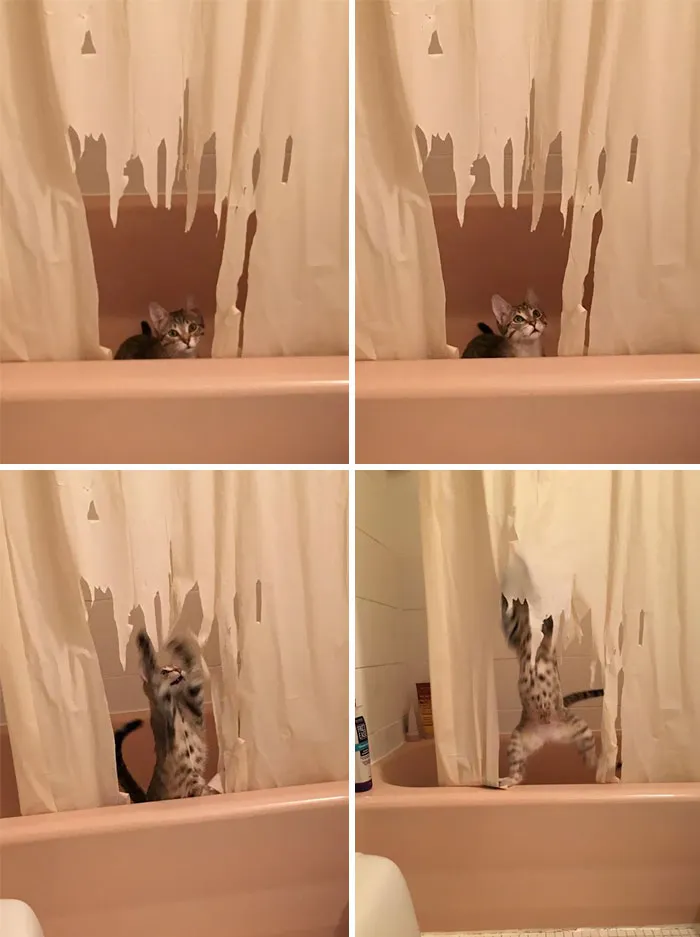 Caught In The Act - Doesn't Care