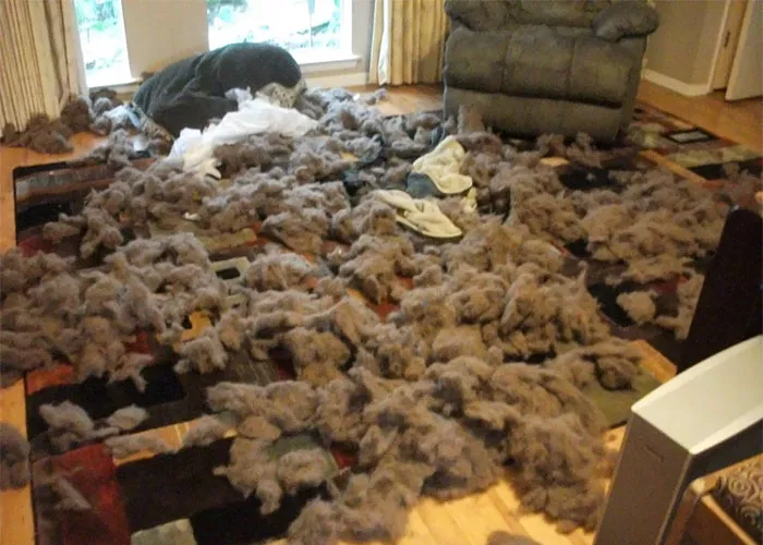 This Is What I Saw After Getting Out Of The Shower. She Murdered Her Bed