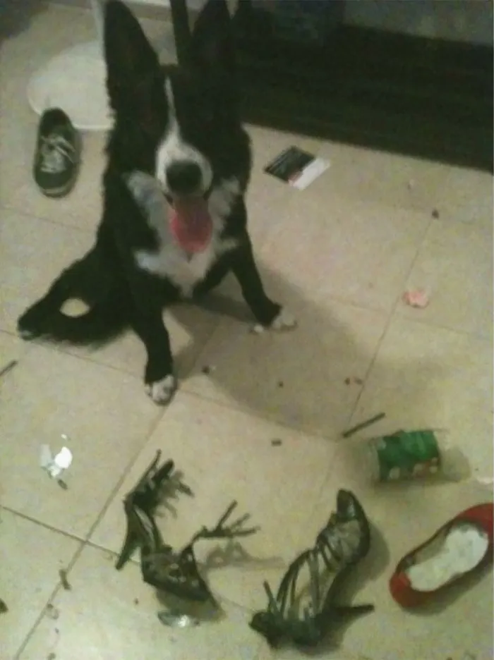 He Didn't Like My New Shoes
