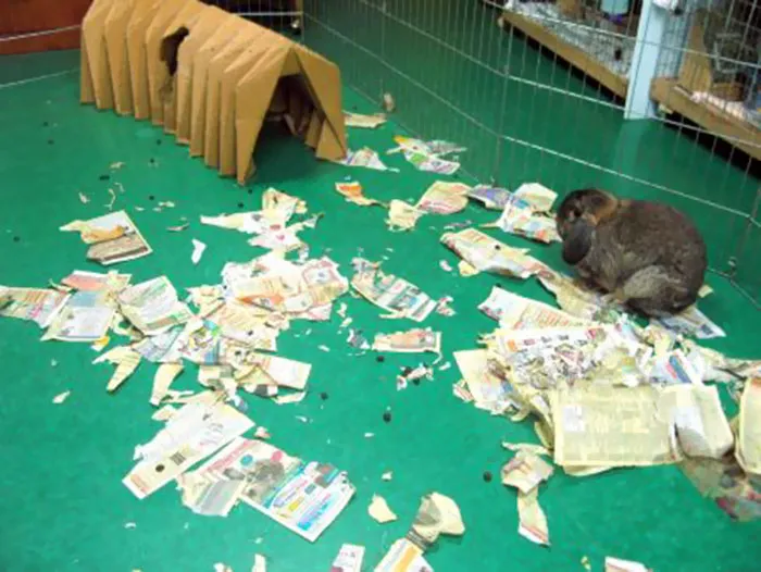 It Wasn't Me!