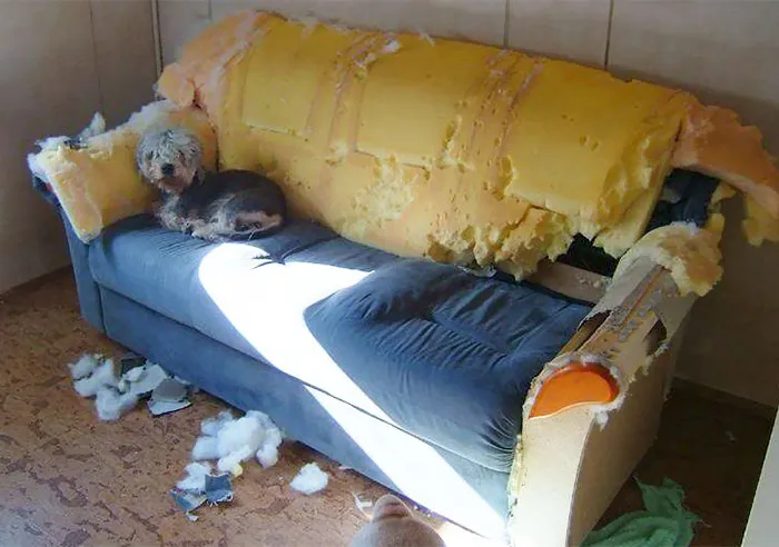 Oh, I Didn’t Know You’d Be Home So Early