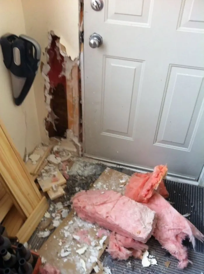 Left My New Rescue Dog Home Alone For 20 Minutes