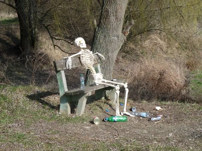 The Sunbathing 1