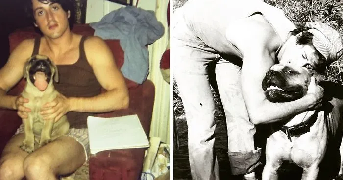 Sylvester Stallone Just Shared A Tribute To His Old Dog, And It’s Absolutely Beautiful