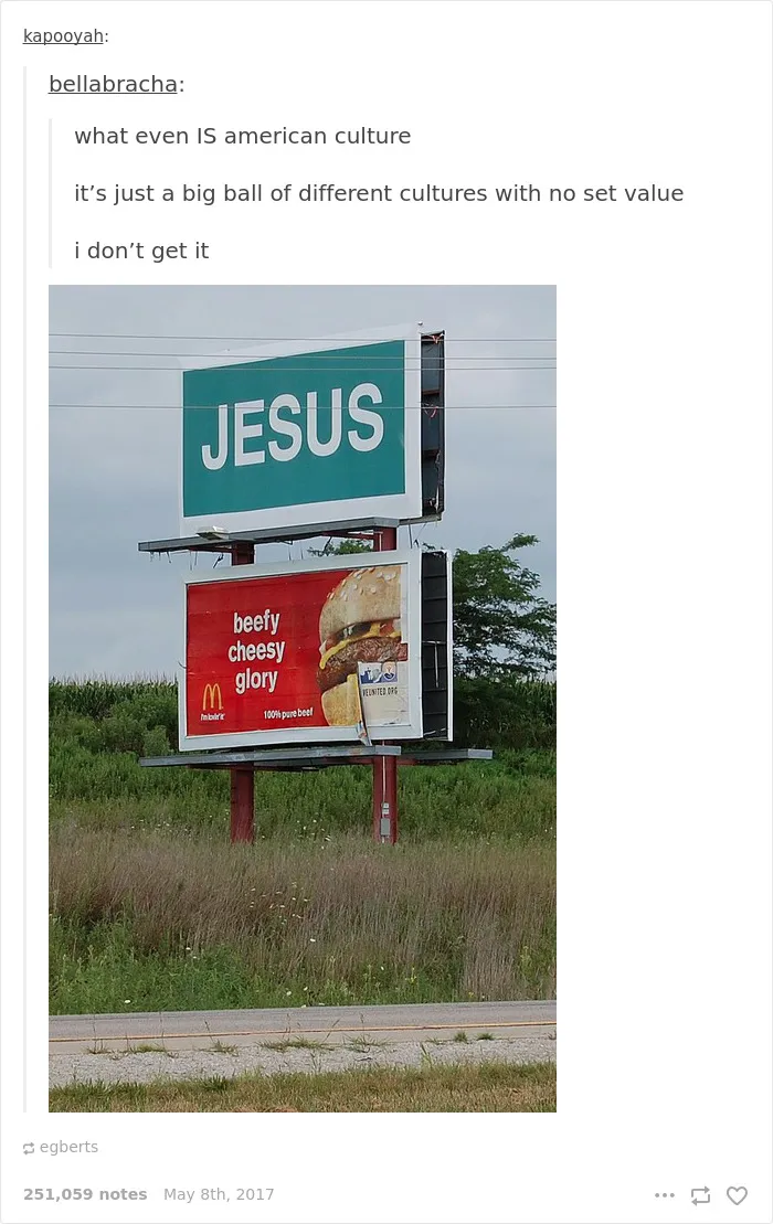 35 Times Tumblr Hilariously Roasted Americans