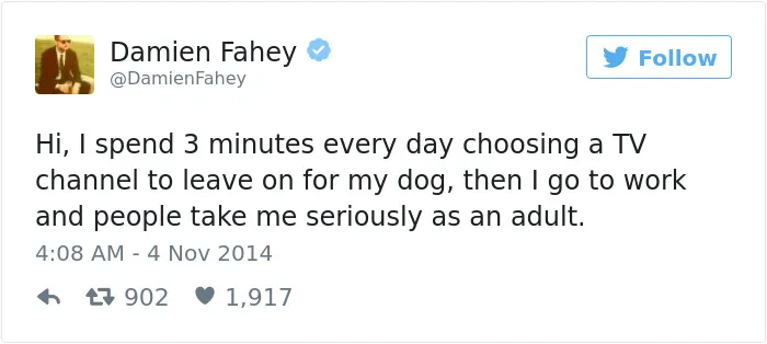 60 Funny Dog Tweets That Are Too Relatable