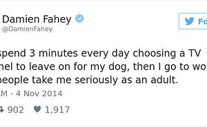 60 Funny Dog Tweets That Are Too Relatable
