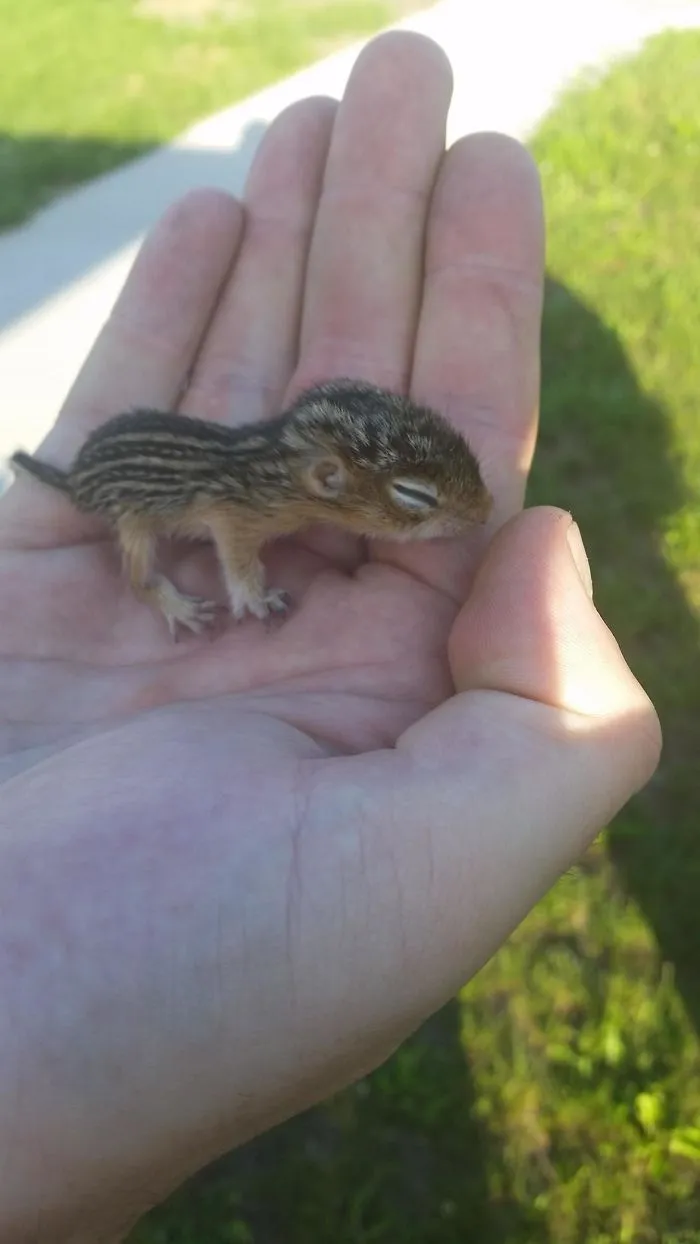 I Found This Guy All Alone In The Grass