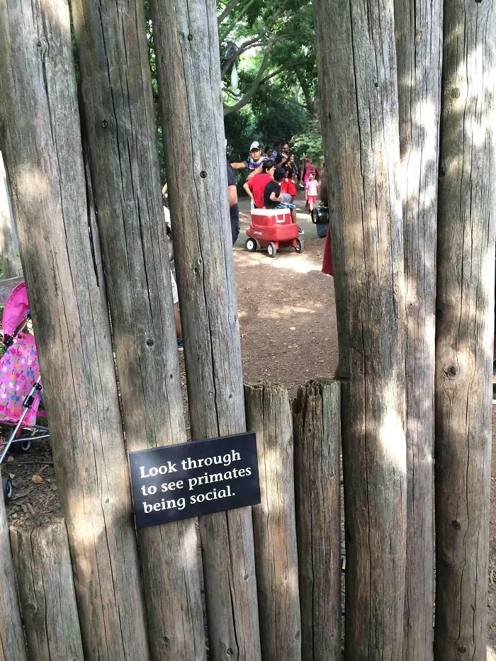 43 Funny Zoo Signs Which Probably Have Some Incredible Stories Behind Them