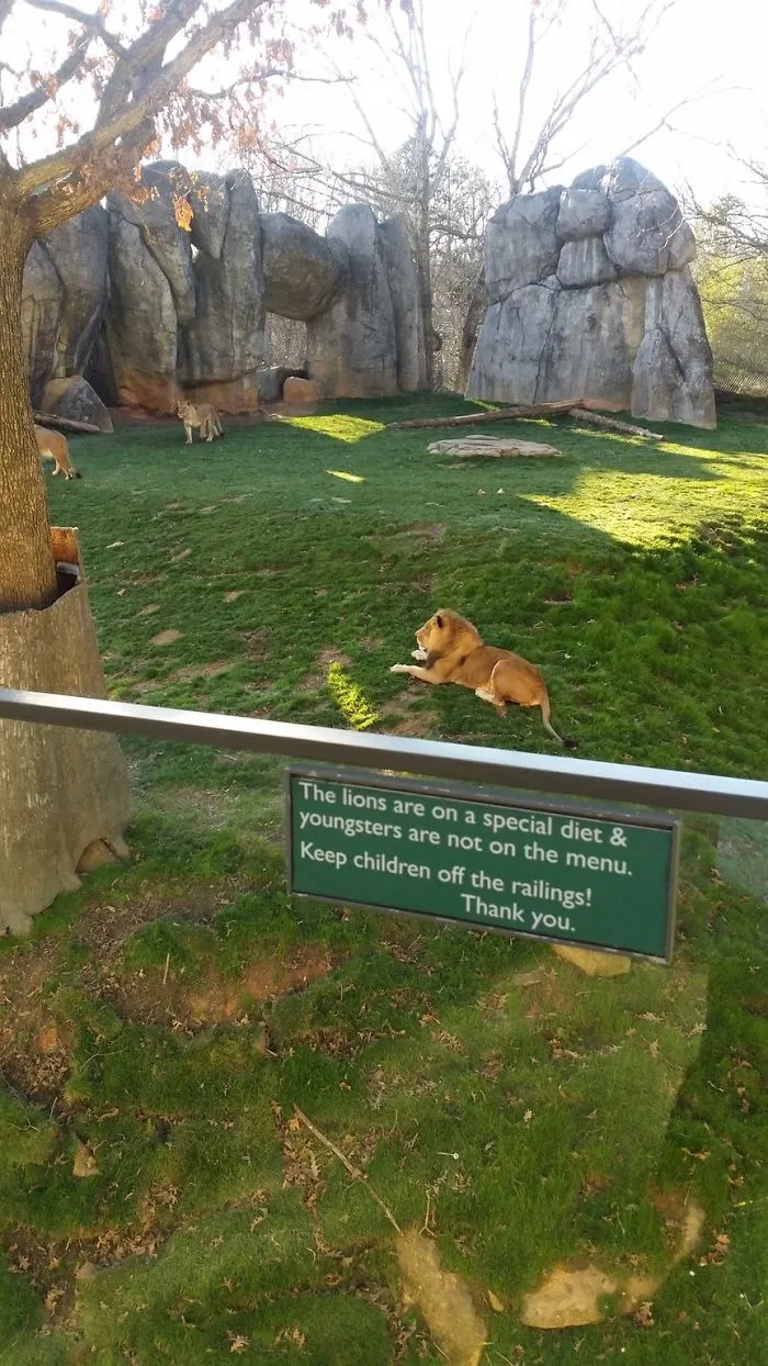 43 Funny Zoo Signs Which Probably Have Some Incredible Stories Behind Them