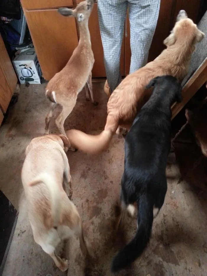 Breakfast On The Farm: One Of These Things Is Not Like The Others