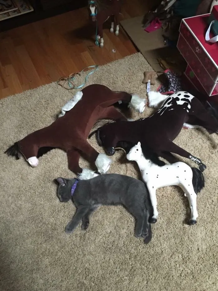 One Of These Things Is Not Like The Other
